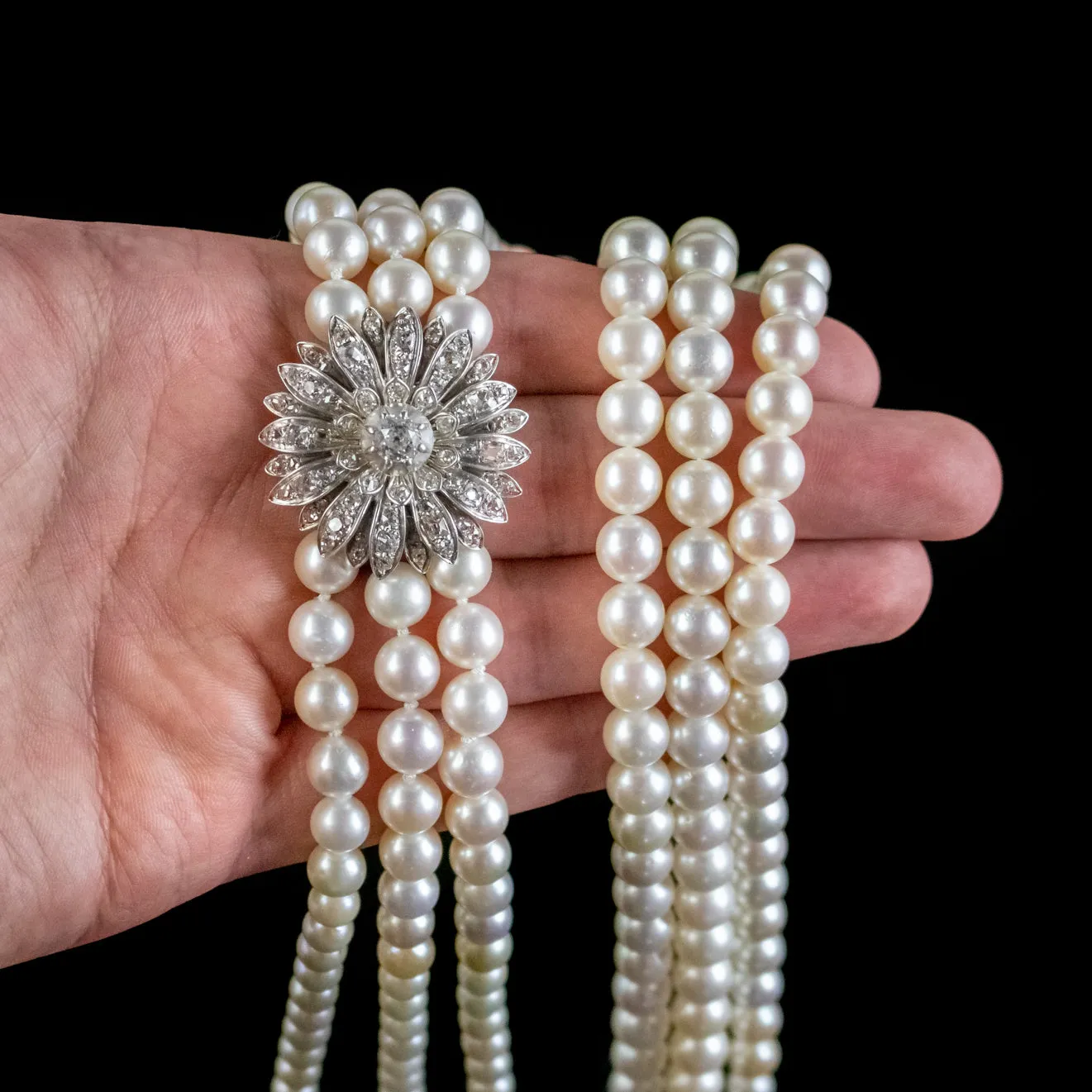 Antique Edwardian Triple Pearl Necklace 3Ct Diamond Flower Clasp Silver 18Ct Gold Circa 1905