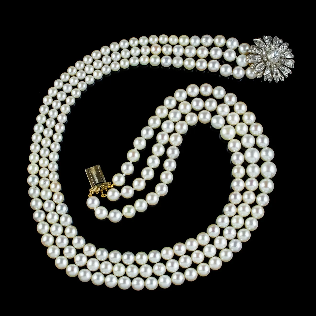 Antique Edwardian Triple Pearl Necklace 3Ct Diamond Flower Clasp Silver 18Ct Gold Circa 1905