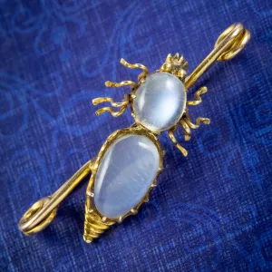 Antique Victorian Moonstone Beetle Brooch 18ct Gold Circa 1900