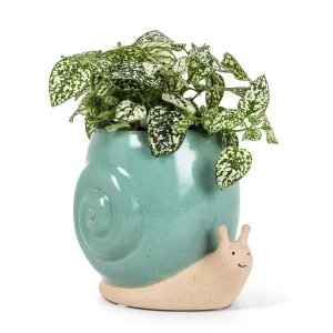 Charming Snail Planter - Blue