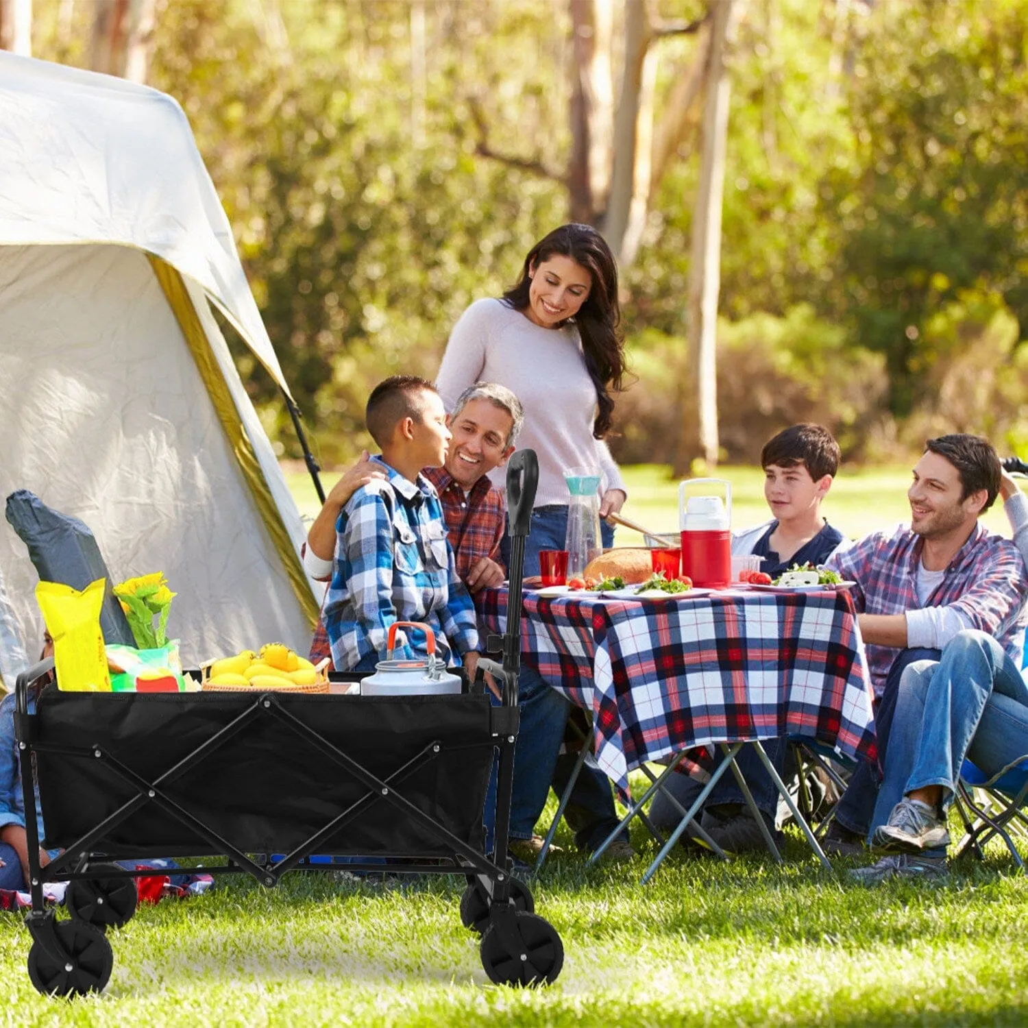 Collapsible Folding Wagon Cart