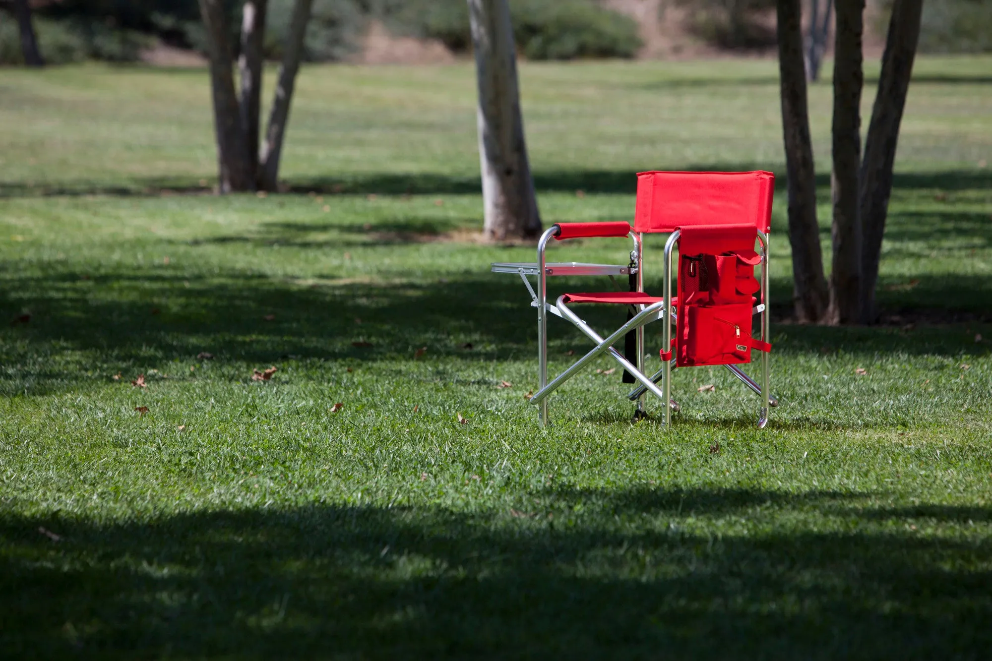 Detroit Red Wings - Sports Chair