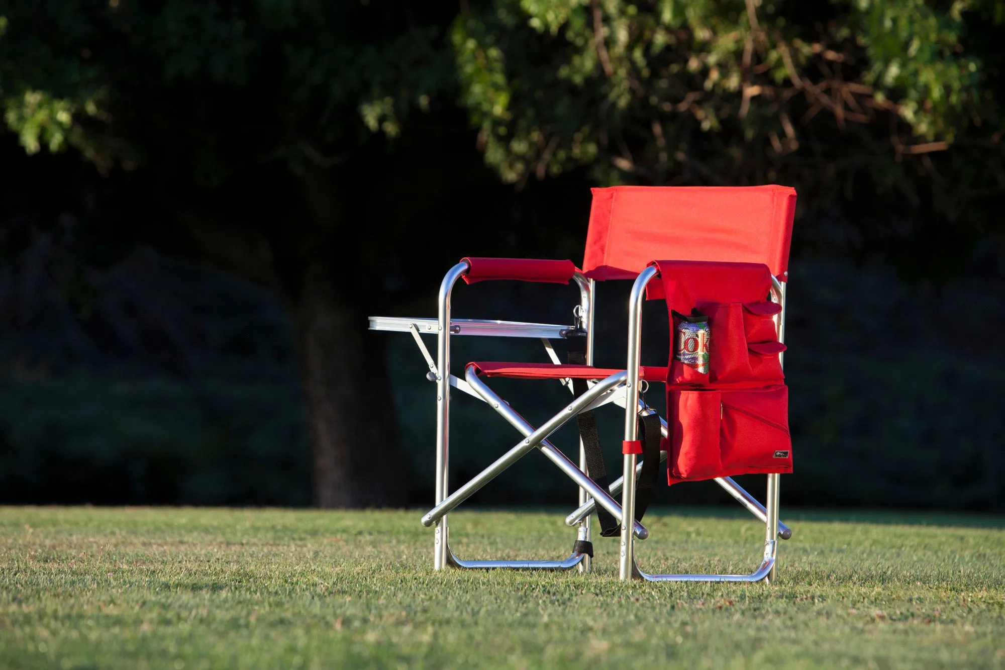 Detroit Red Wings - Sports Chair