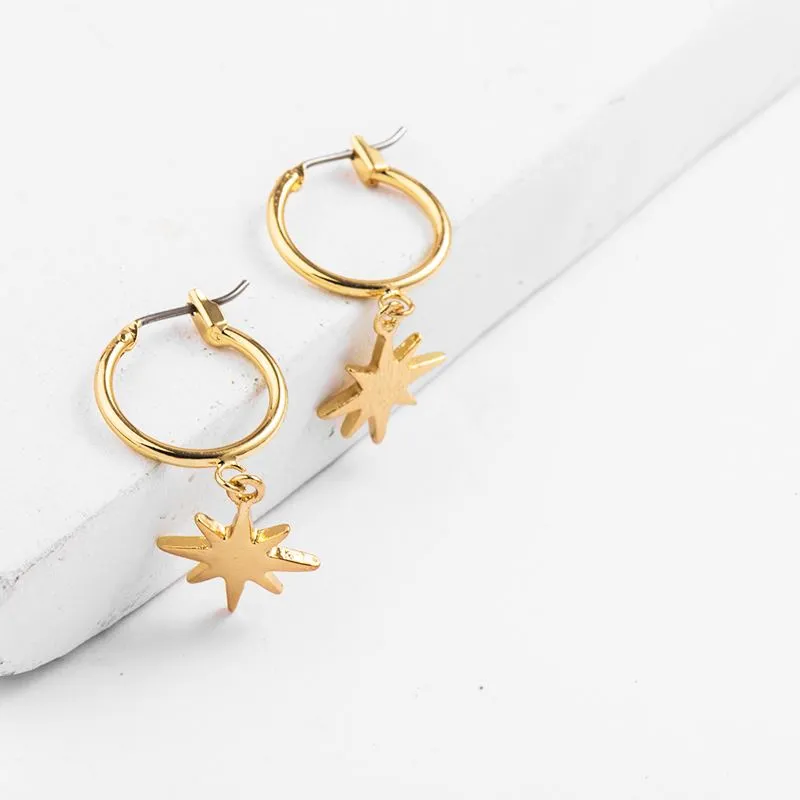 Hoop and star Earrings