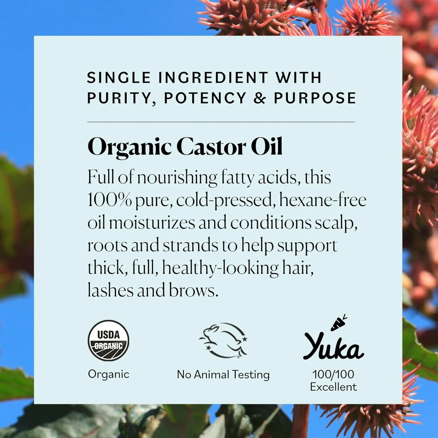 Organic Castor Oil, 100% Pure, Hexane Free, Cold-Pressed to Support Stronger, Fuller-Looking Hair, Eyelashes & Eyebrows,Good for Castor Packs, Navel Oiling, Carrier Oil Use, 16 Fl Oz