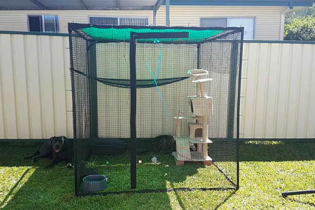 Single Size 1.8m Freestanding Cat Enclosure