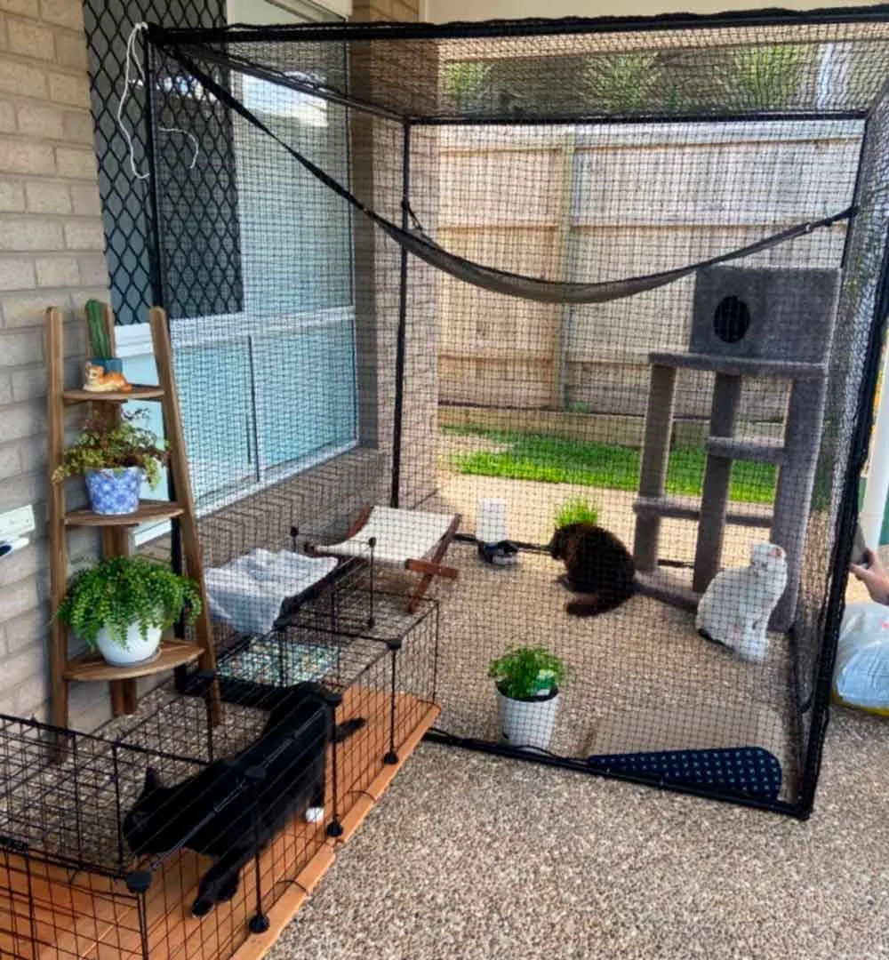 Single Size 1.8m Freestanding Cat Enclosure