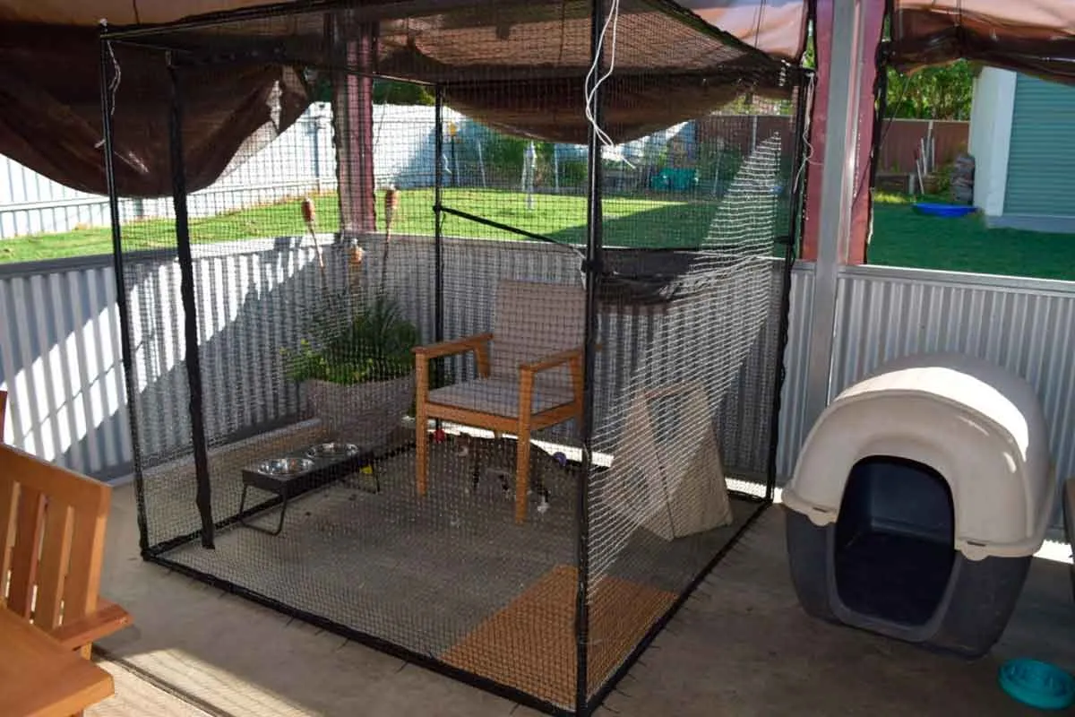 Single Size 1.8m Freestanding Cat Enclosure