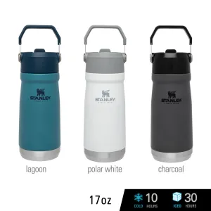 Stanley IceFlow Flip Straw Water Bottle Vacuum Insulated Tumbler 17 oz.-22 oz.